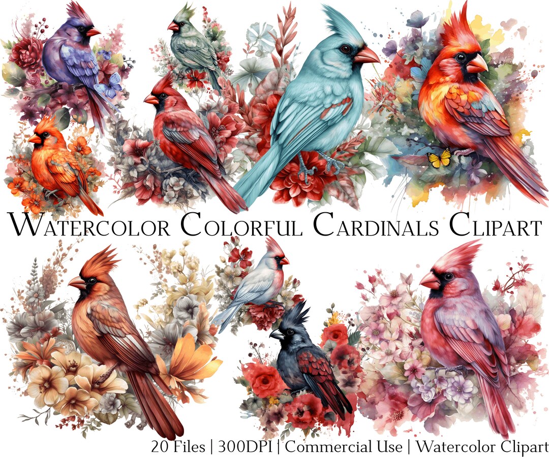 Watercolor Colorful Cardinals Clipart Set of 20 Files With Instant ...