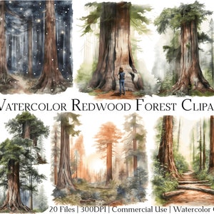Watercolor Redwood Forest Clipart Set of 20 Files with Instant Download & Commercial Use, PNG + PDF Format, Perfect for DIY Crafts.