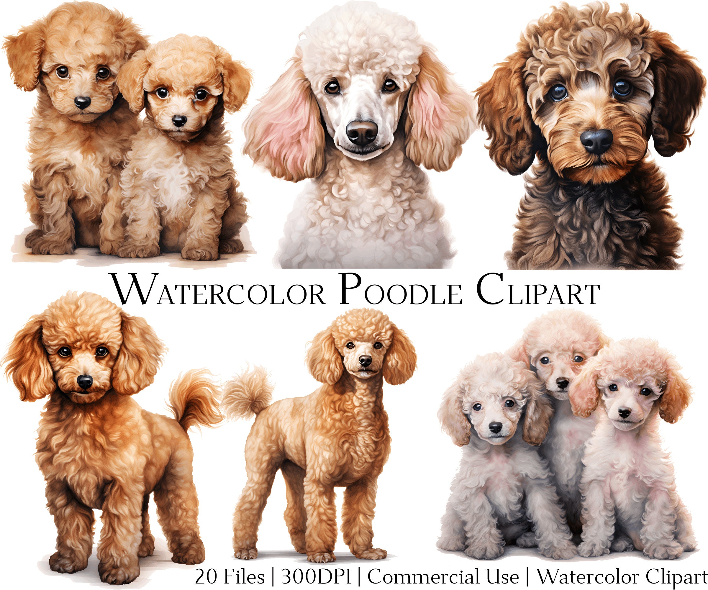 Watercolor Poodle Dogs Clipart Set of 20 Files with Instant Download & Commercial Use, PNG + PDF Format, Perfect for DIY Crafts.