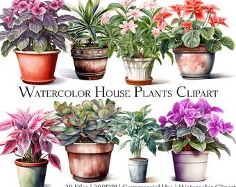 Watercolor House Plants Clipart: 20 PNG & PDF Files (Commercial Use)