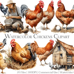 Watercolor Chickens Clipart Set of 20 Files with Instant Download & Commercial Use, PNG + PDF Format, Perfect for DIY Crafts.
