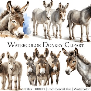 Aquarell Esel Clipart-Set mit 20 Dateien mit sofortigem Download und kommerzieller Nutzung, PNG + PDF-Format, perfekt für Heimwerker.