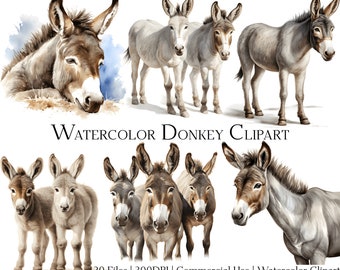 Watercolor Donkey Clipart Set: Farm Animal Art (PNG + PDF)