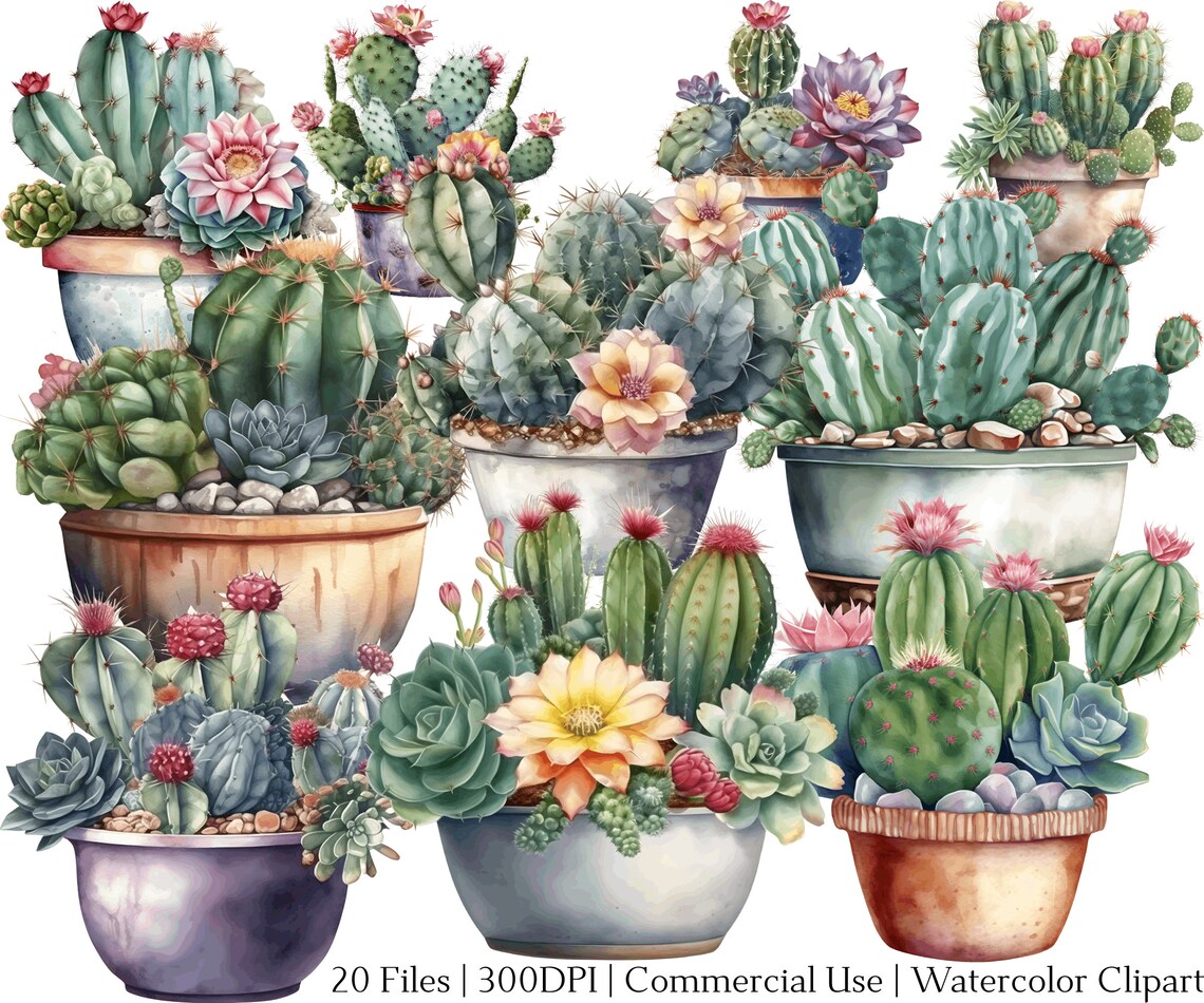Watercolor Potted Cactus Clipart: Desert Plant PNG & PDF (20 Files) - Etsy