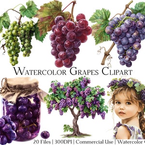 Watercolor Grape Clipart Set of 20 Files with Instant Download & Commercial Use, PNG + PDF Format Perfect for DIY Crafts.