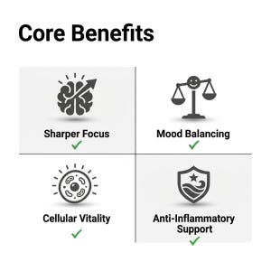 May include: A graphic titled Core Benefits featuring four icons with text labels. The icons represent a brain with an arrow for Sharper Focus, a balance scale for Mood Balancing, a cell for Cellular Vitality, and a shield for Anti-Inflammatory Support.