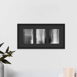 May include: A rectangular black frame containing three separate black and white landscape photographs. The images depict silhouettes of trees and forest scenery in a misty, atmospheric setting, all mounted within a dark gray mat board.
