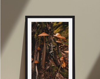 Mushrooms Framed Art Print | Digital Film Photography | Nature Wall Art