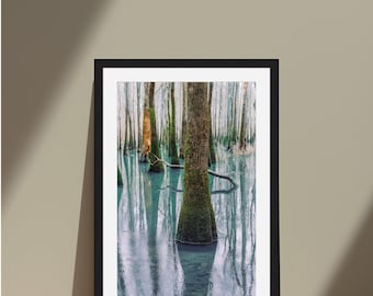 Swamp Tupelo Framed Art Print | North Alabama Digital Film Photography | Nature Wall Art