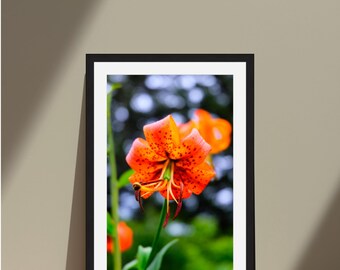 Turks Cap Lily Framed Art Print | Wildflower Digital Film Photography | Nature Wall Art