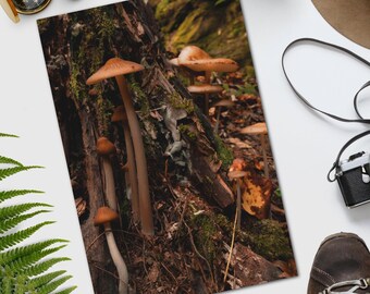 Fall Mushrooms Fine Art Print | Digital Film Photography | Nature Wall Art