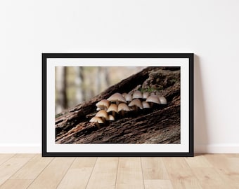 Mushroom Flush Framed Art Print | Digital Film Photography | Nature Wall Art