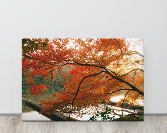 Fall Colors Gallery Wrap Art Print | Lake Guntersville State Park North Alabama Digital Film Photography | Nature Wall Decor