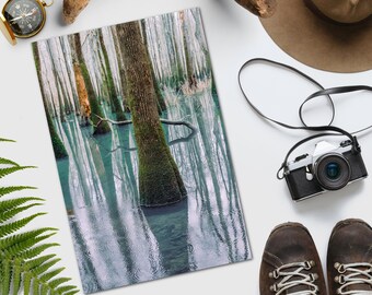 Swamp Tupelo Fine Art Print | Alabama Digital Film Photography | Nature Wall Art