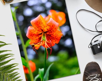 Turk's Cap Lily Fine Art Print | North Carolina Digital Film Photography | Nature Wall Art