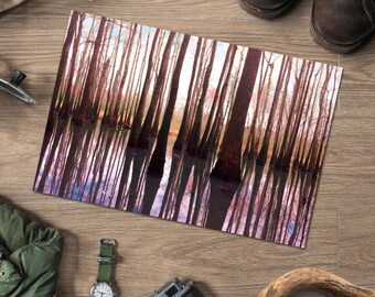 Tupelo Gum Swamp Reflection Fine Art Print | Alabama Digital Film Photography | Nature Wall Art