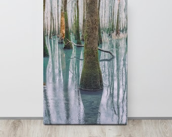 Swamp Tupelo Gallery Wrap Art Print | North Alabama Digital Film Photography | Nature Wall Decor