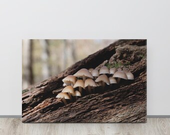 Mushroom Flush Gallery Wrap Art Print | Digital Film Photography | Nature Wall Decor