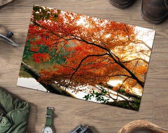 Fall Colors Fine Art Print | Guntersville State Park Alabama Digital Film Photography | Nature Wall Art