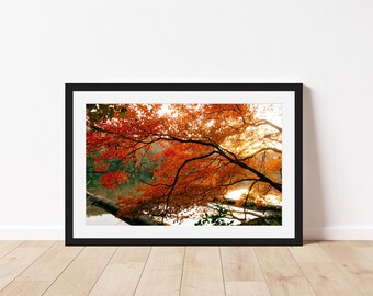 Fall Colors Framed Art Print | Lake Guntersville State Park North Alabama Digital Film Photography | Nature Wall Art