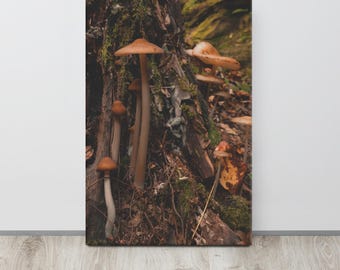 Mushrooms Gallery Wrap Art Print | Digital Film Photography | Nature Wall Decor