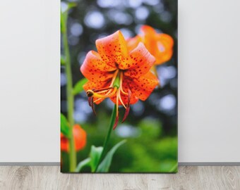 Turks Cap Lily Gallery Wrap Art Print | North Carolina Wildflower Digital Film Photography | Nature Wall Decor