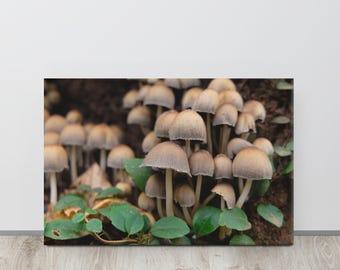 Mushrooms Gallery Wrap Art Print | Digital Film Photography | Nature Wall Decor