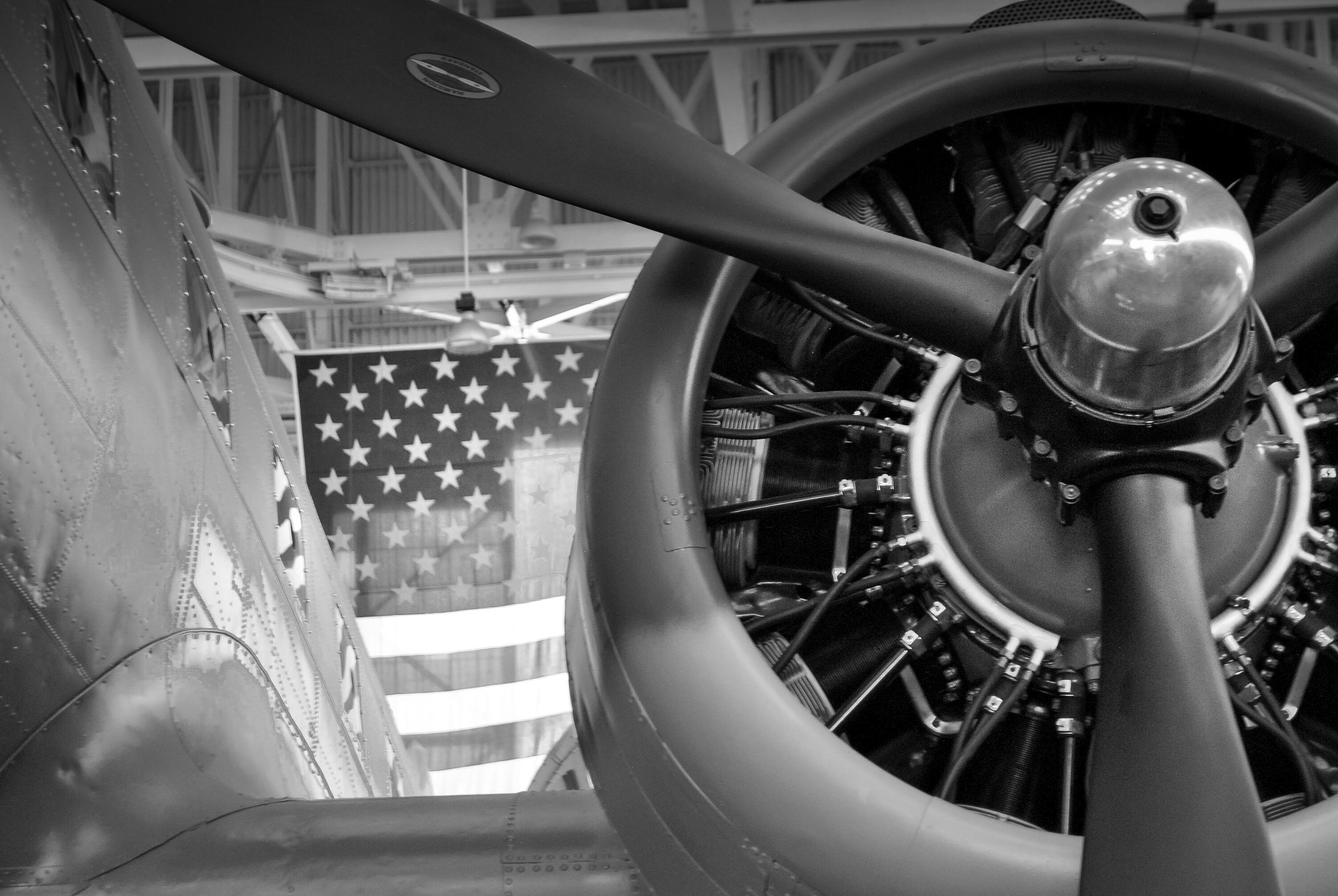 Douglas c 47 - Etsy 日本