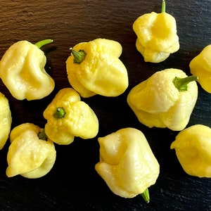 White Moruga Pepper Seeds
