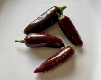 Brown Jalapeno Pepper Seeds