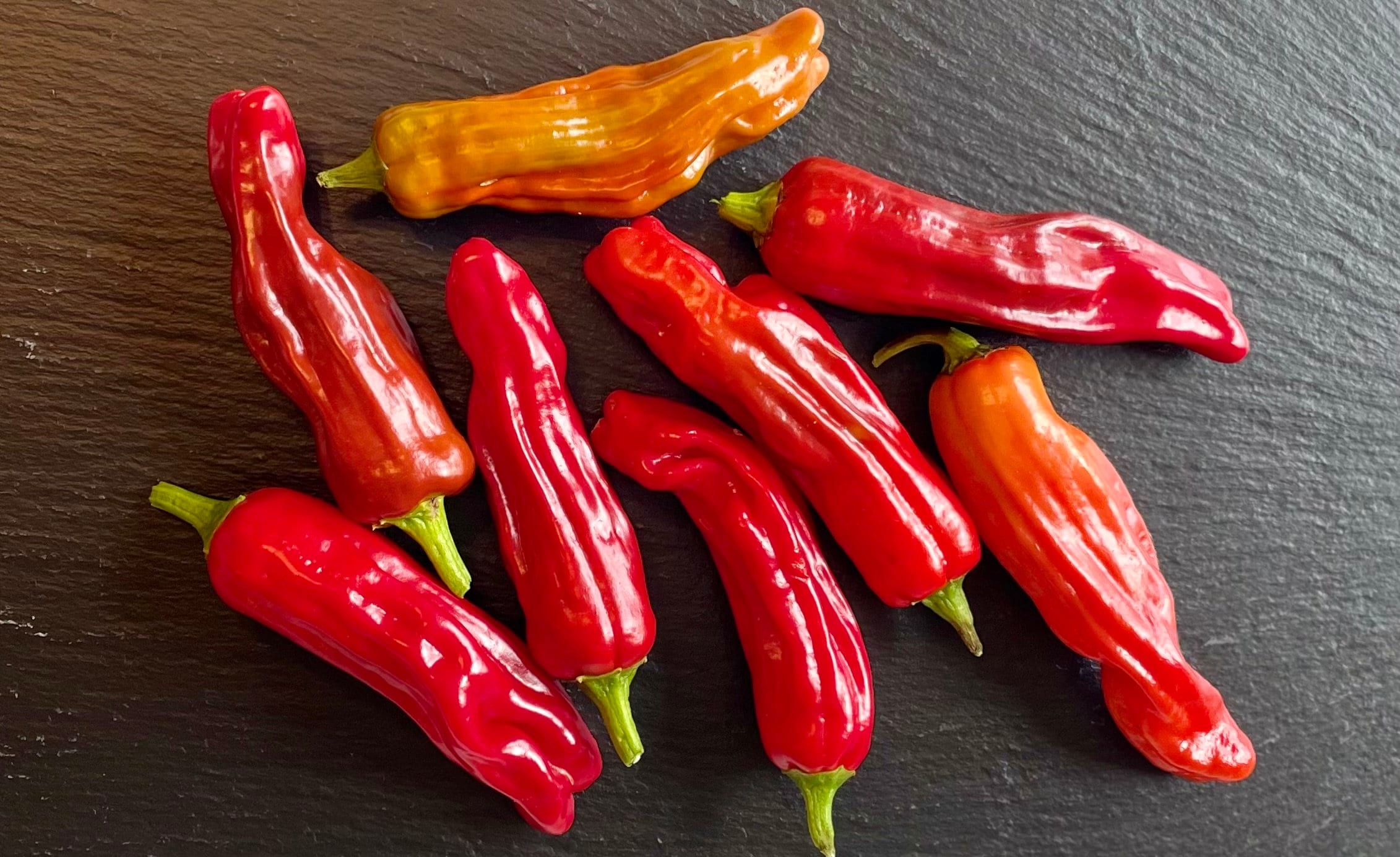 Shishito Pepper Seeds