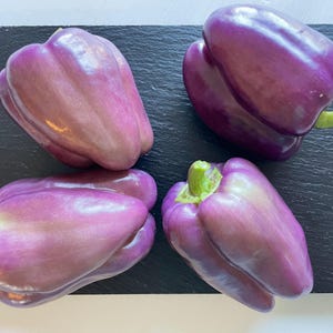 Purple Bell Pepper Seeds