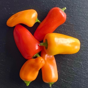 Mini Sweet Rainbow Pepper Seeds