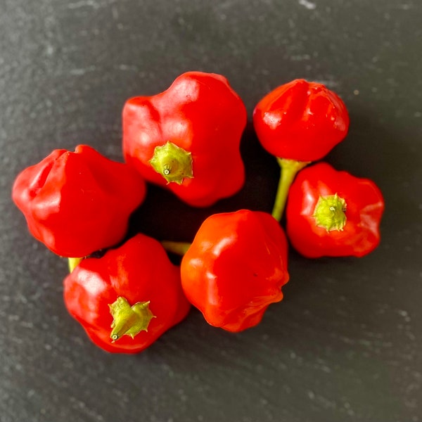 Mad Hatter Pepper Seeds