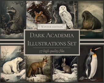 Dark Academia illustrations set - Winter Edition - images files - antique - Instant download - PNG - PDF