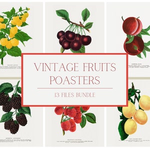 Vintage fruits posters - 13 PNG files - instant download