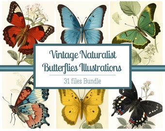 Set of 31 Vintage Butterflies illustrations - Naturalist prints - Instant download - Digital prints - PNG - Butterfly decor