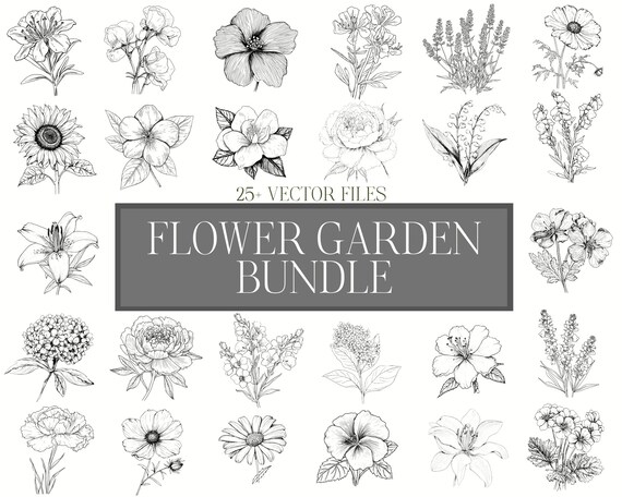 Garden Flowers line art vectors - SVG - set of 27 files - bundle - instant download - flower clipart - flower outline design - illustrations