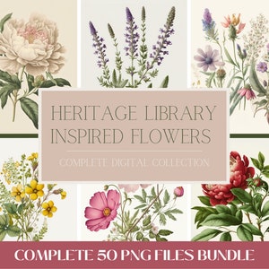 Vintage flower illustrations, Set of 50 - COMPLETE BUNDLE - Instant download - PNG file