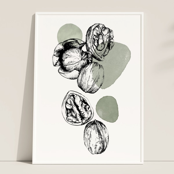 Digital Download of Olive Earth Tone Sage Green Botanical Line Art Drawing Walnut Print Poster for Kitchen Modern Farmhouse Cottagecore