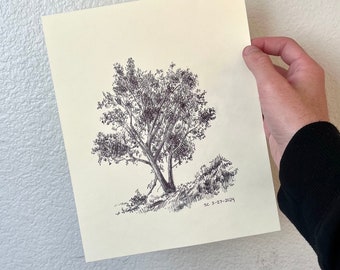 Dessin original au stylo à bille dessiné à la main | Arbre | Nature | Beaux-arts | Forêt