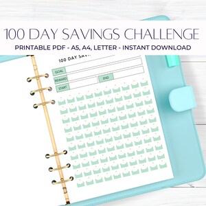 100 Day Savings Challenge Envelopes Tracker, individuell ausfüllbare PDF