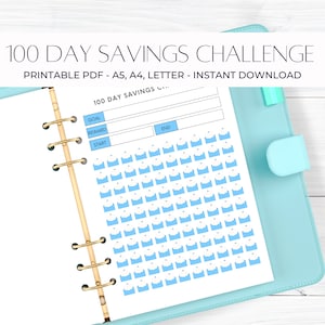 100 Day Savings Challenge Envelopes Tracker, individuell ausfüllbare PDF