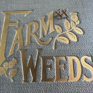May include: A close-up of a grey, textured surface with the words "Farm Weeds" printed in gold. Two small gold cross earrings are placed on the surface.