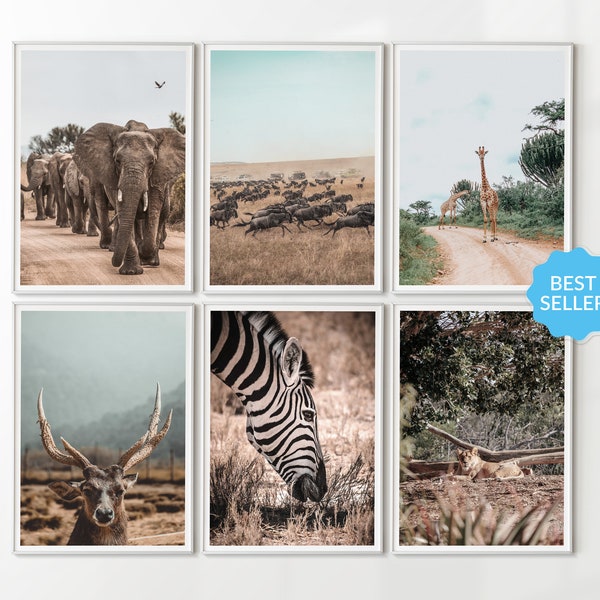 Safari Savanna Africa Printable Photography Posters Set of 6 | South Africa Wildlife Wall Art Boho, Lion Zebra Elephant Deer Giraffe Digital
