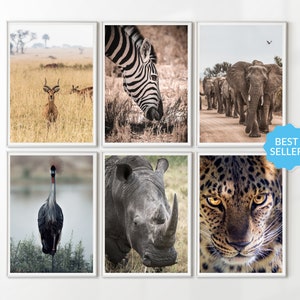 Safari Savanna Africa Printable Photography Posters Set of 6 | South Africa Wildlife Wall Art, Leopard Zebra Elephant Gazelle Crane Rhino