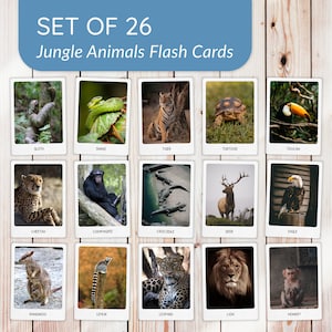 ANIMAUX DE LA JUNGLE Jeu de 26 cartes Flash Montessori | Cartes flash imprimables animaux exotiques pour maternelle préscolaire | Animaux sauvages
