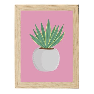 Poster - Aloes
