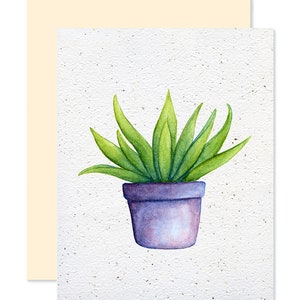 Seeded card - Aloes