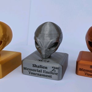 Custom 3D printed trophy.